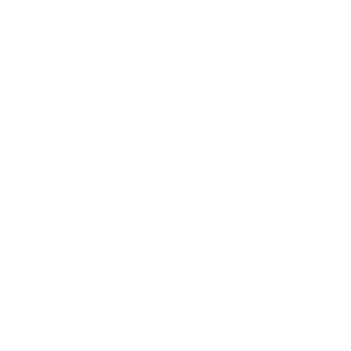 Information Technology11